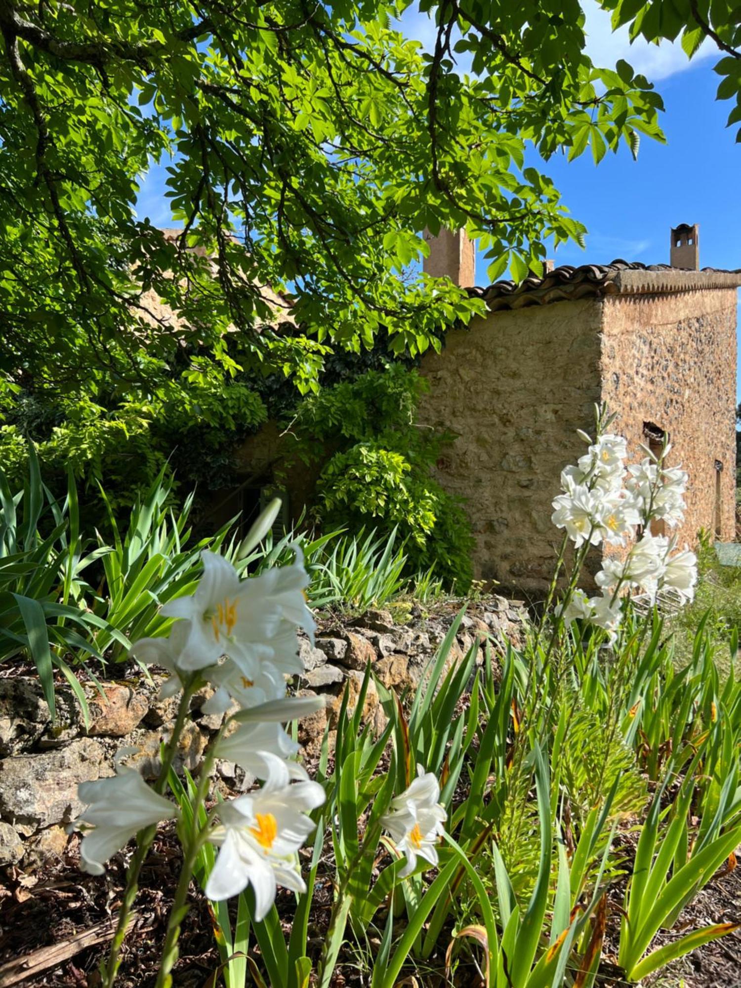 La Cabane De Babarot Aups Exterior photo